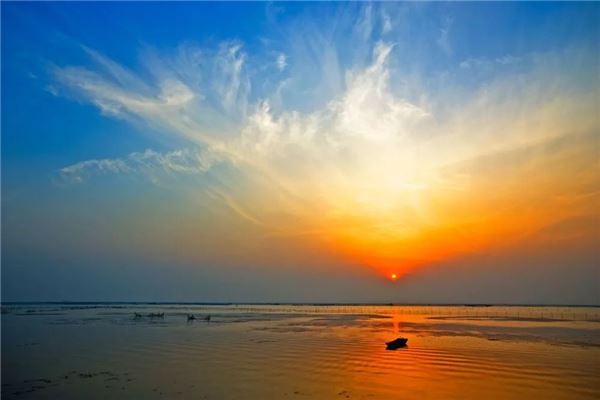 骆马湖森林公园