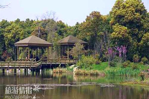 浦东高桥滨江森林公园