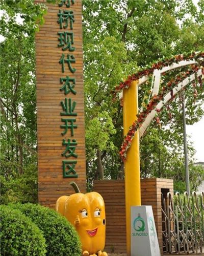 孙桥现代农业开发区
