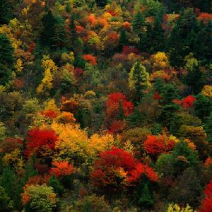 镇北堡西部影视城