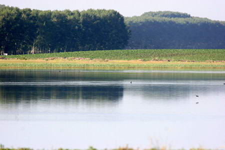 青马湖