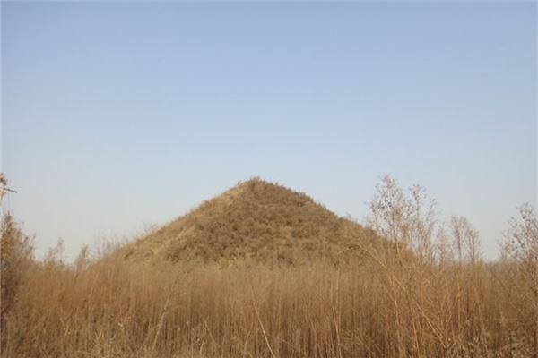 托库孜萨来遗址