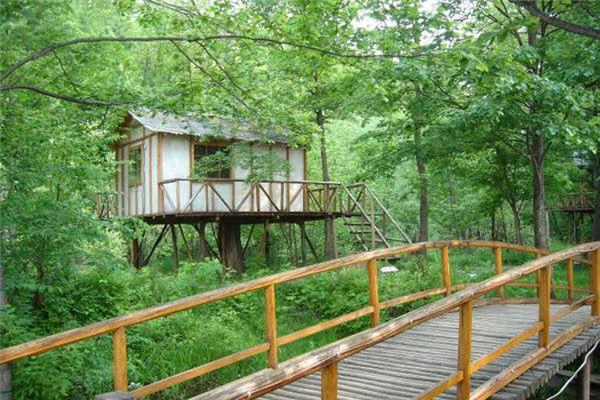 长白山生态植物园