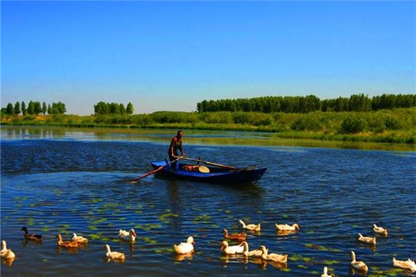 仙女山国家森林公园
