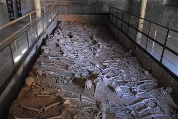 广东天井山国家森林公园