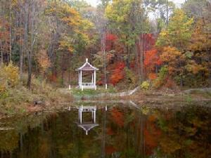 浑河源森林公园