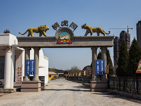 大连狮虎园