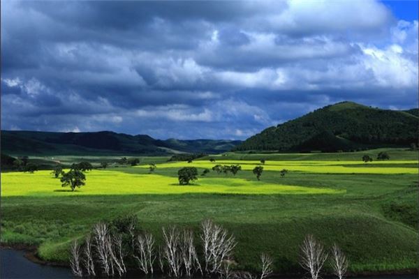 乌兰坝森林旅游区