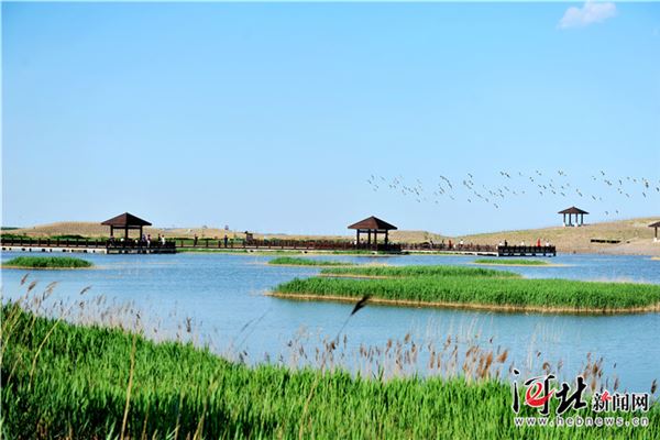 南大港湿地自然保护区