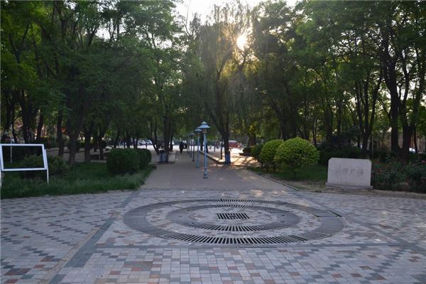无极县绿荫广场