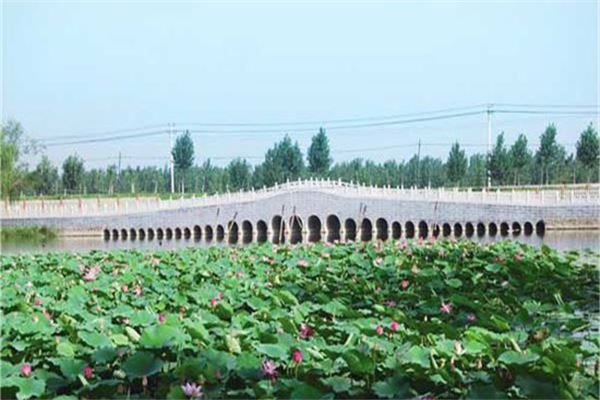 燕王湖湿地生态园