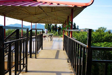 绿岗山居农家院