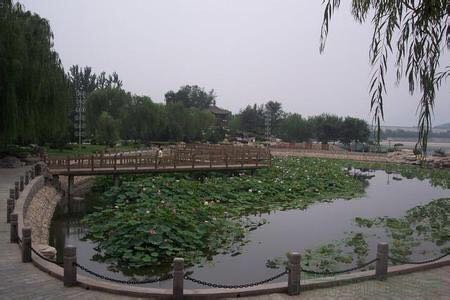 第四次世界妇女大会纪念公园