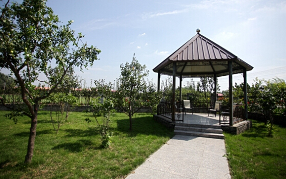 CKC国际宠物公园