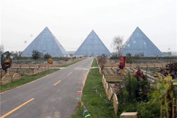 北京双新观光采摘园