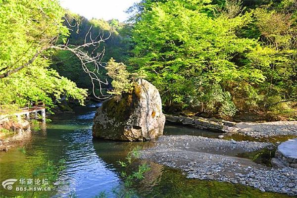 黎坪国家级森林公园