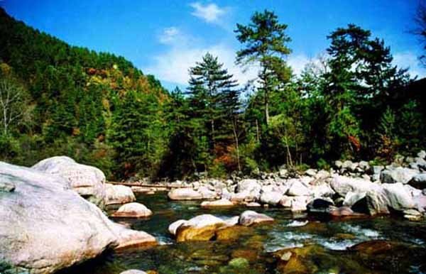 陕西太平森林公园