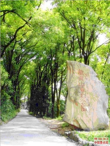 歌乐山国家森林公园