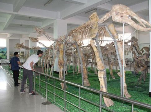 天宇自然博物馆