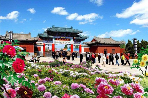 菏泽曹州牡丹园