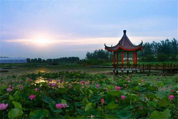 洪泽湖湿地公园