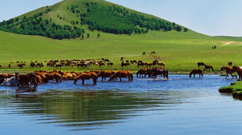 乌兰布统旅游区