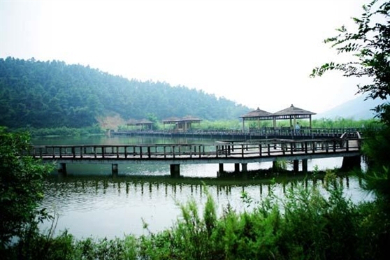 凤凰湖生态植物园