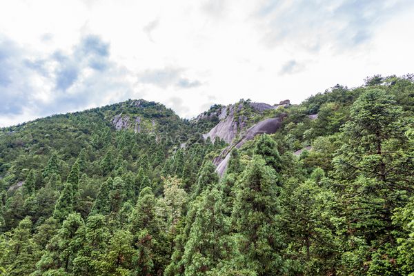 玉苍山森林公园