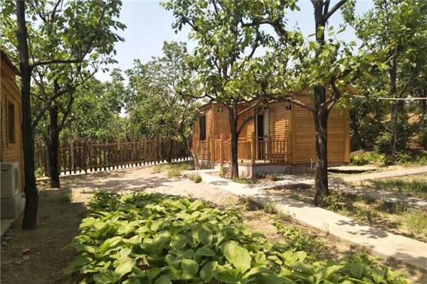 南越国宫署遗址