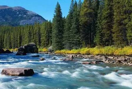 大沾河国家森林公园