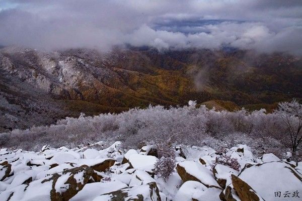 喇叭沟原始森林公园