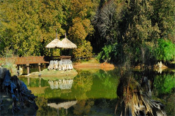 阿里山森林游乐区