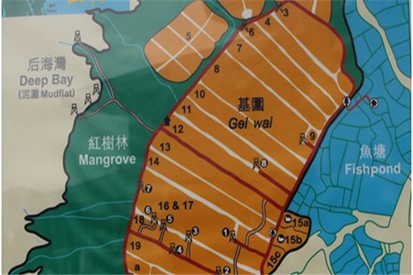 米埔自然保护区