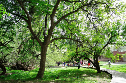 农家葡萄休闲园