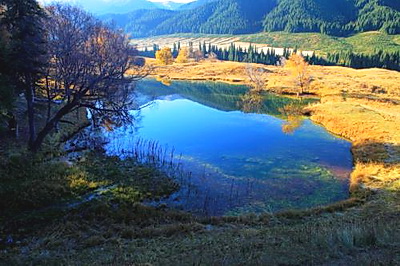 巩乃斯森林公园