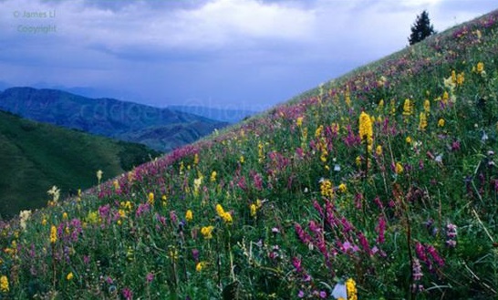 夏尔希里自然保护区