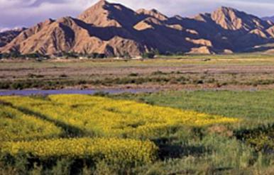 谢哈那当-克措自然风景区