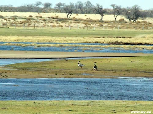 三河湿地自然保护区