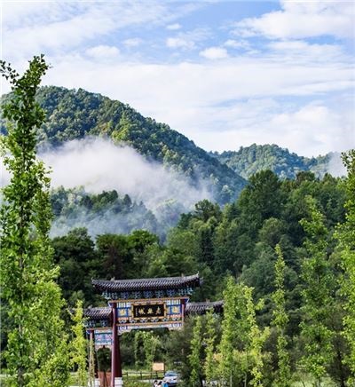 周至老县城自然保护区