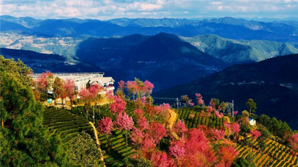 无量山国家级自然保护区