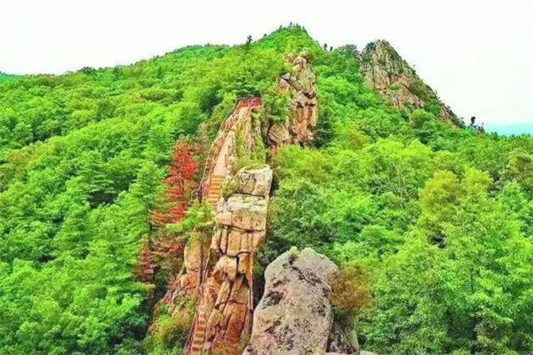 鸡冠山森林公园