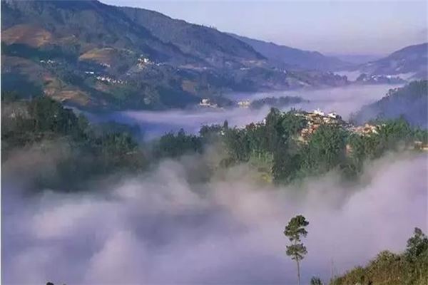 腊姑、桐株德玛梯田景区