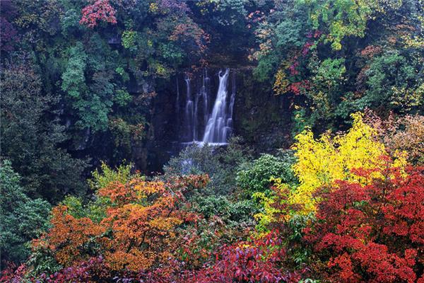小草坝风景旅游区