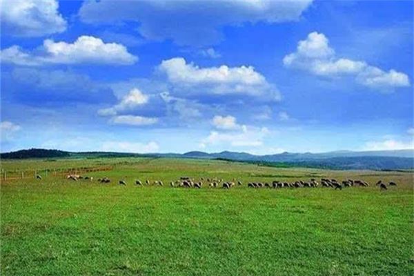 万亩草原北大营