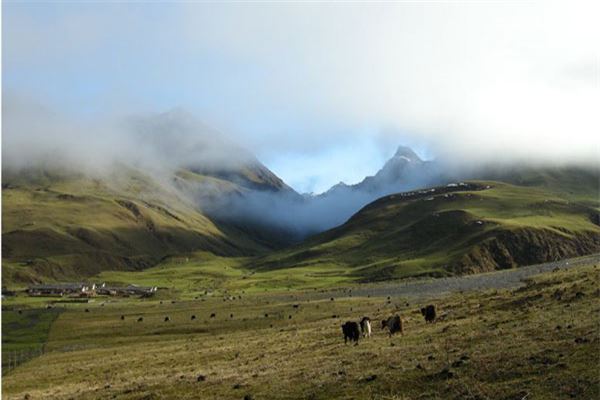 康定野牛沟