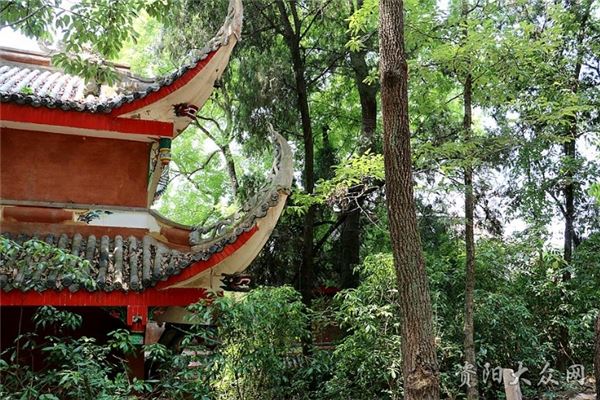 五凤山森林公园