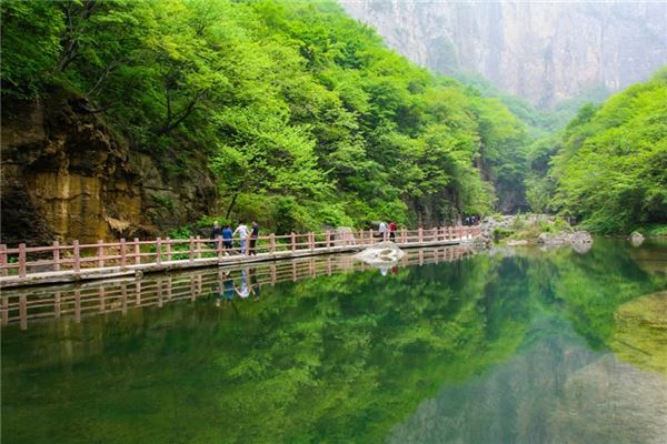 云台山森林公园