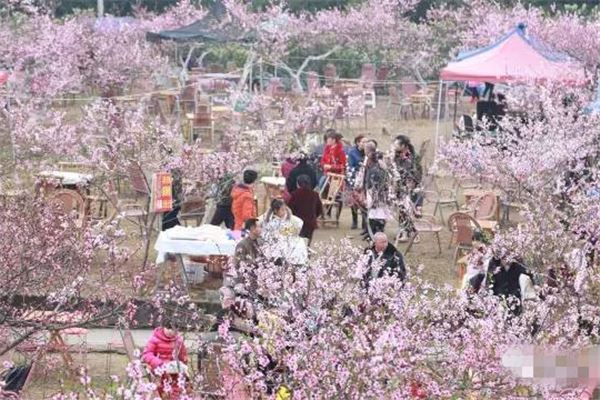 射洪桃花山风景区