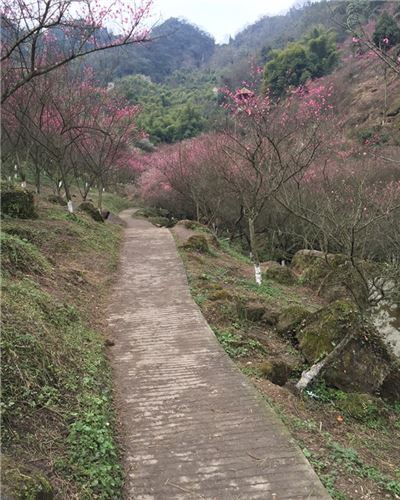 丹景山风景区