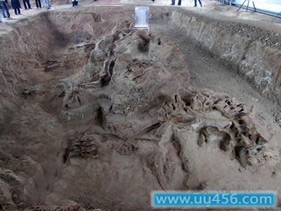 北碚恐龙化石遗址